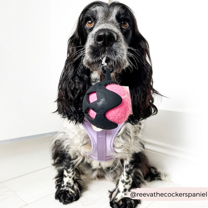 Cocopup London - Tennis Ball Holder - Black