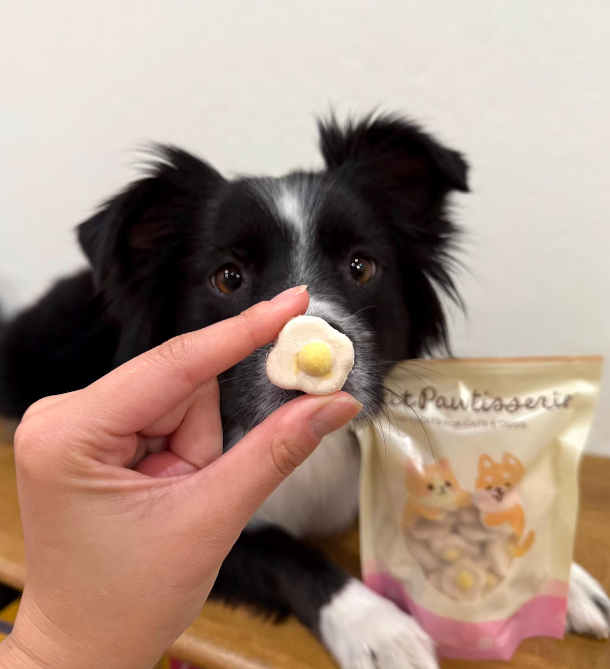 Petit Pawtisserie - Freeze Dried Chicken Egg Treats for Cats & Dogs 50g