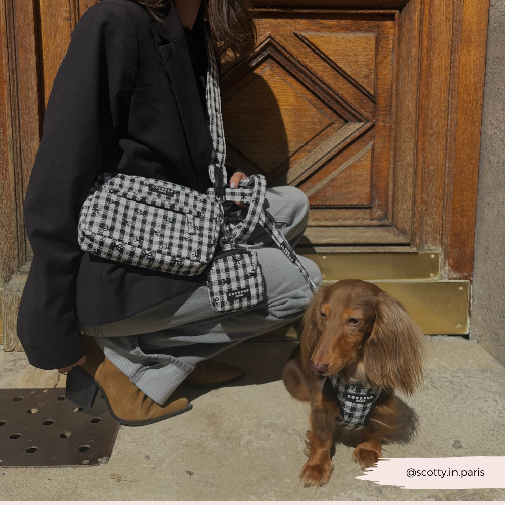 Cocopup London - Bag Strap - Pup in Paris