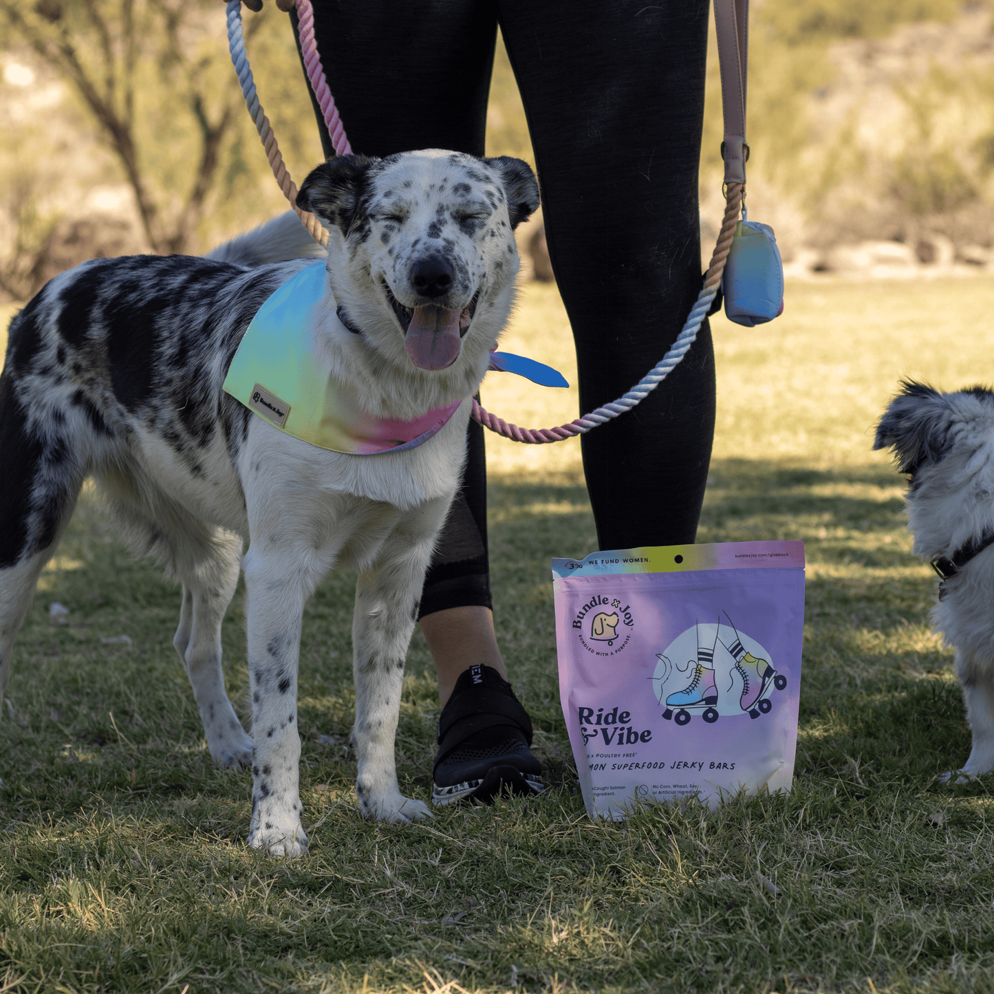 Bundle x Joy - Ride & Vibe Wild-Caught Salmon Jerky Bars for Dogs 5oz: 5oz