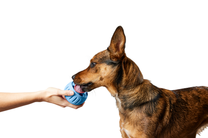 Woof - The Pupsicle - Wholesale Exclusive Color: X-Large
