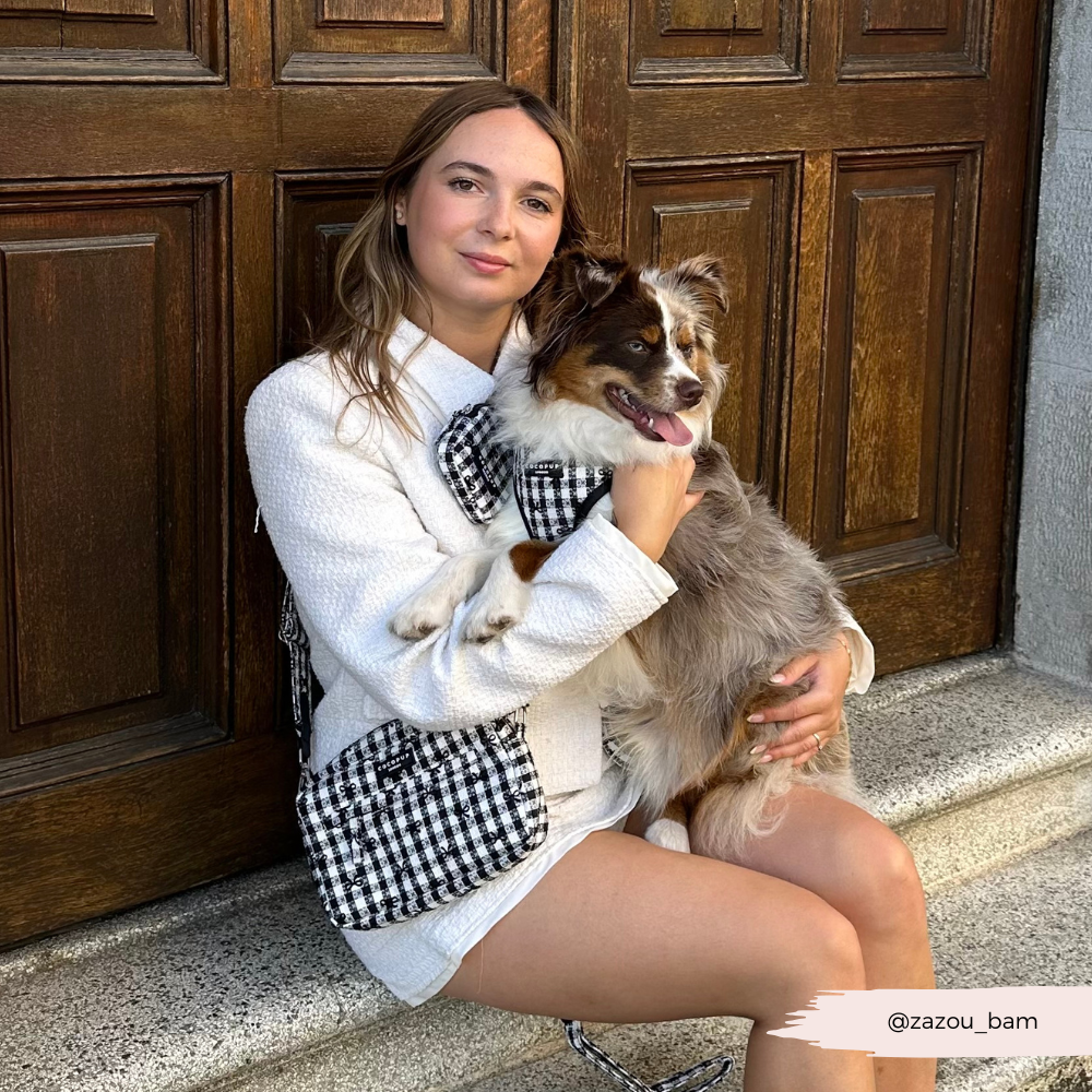 Cocopup London - Pup in Paris Adjustable Neck HARNESS: S