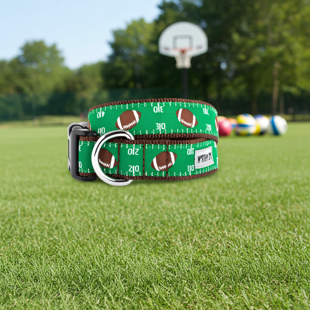 Football Field Collar: Green / Large