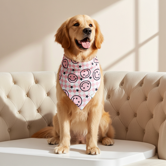 Choose Happy Pink Wrinkle Resistant Bandana: Small